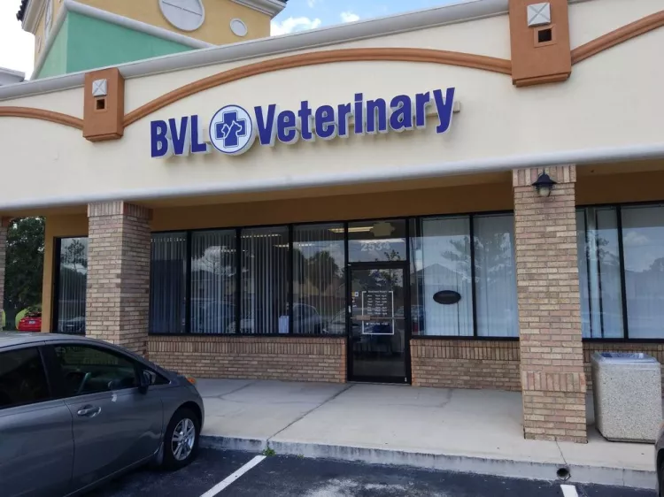 BVL Veterinary Hospital, Florida, Kissimmee